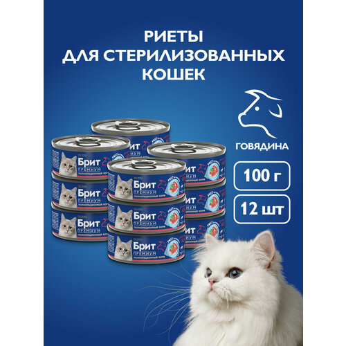 Влажный корм для кошек, риет из говядины для стерилизованных кошек, 100 г 12шт, БРИТ ПРЕМИУМ