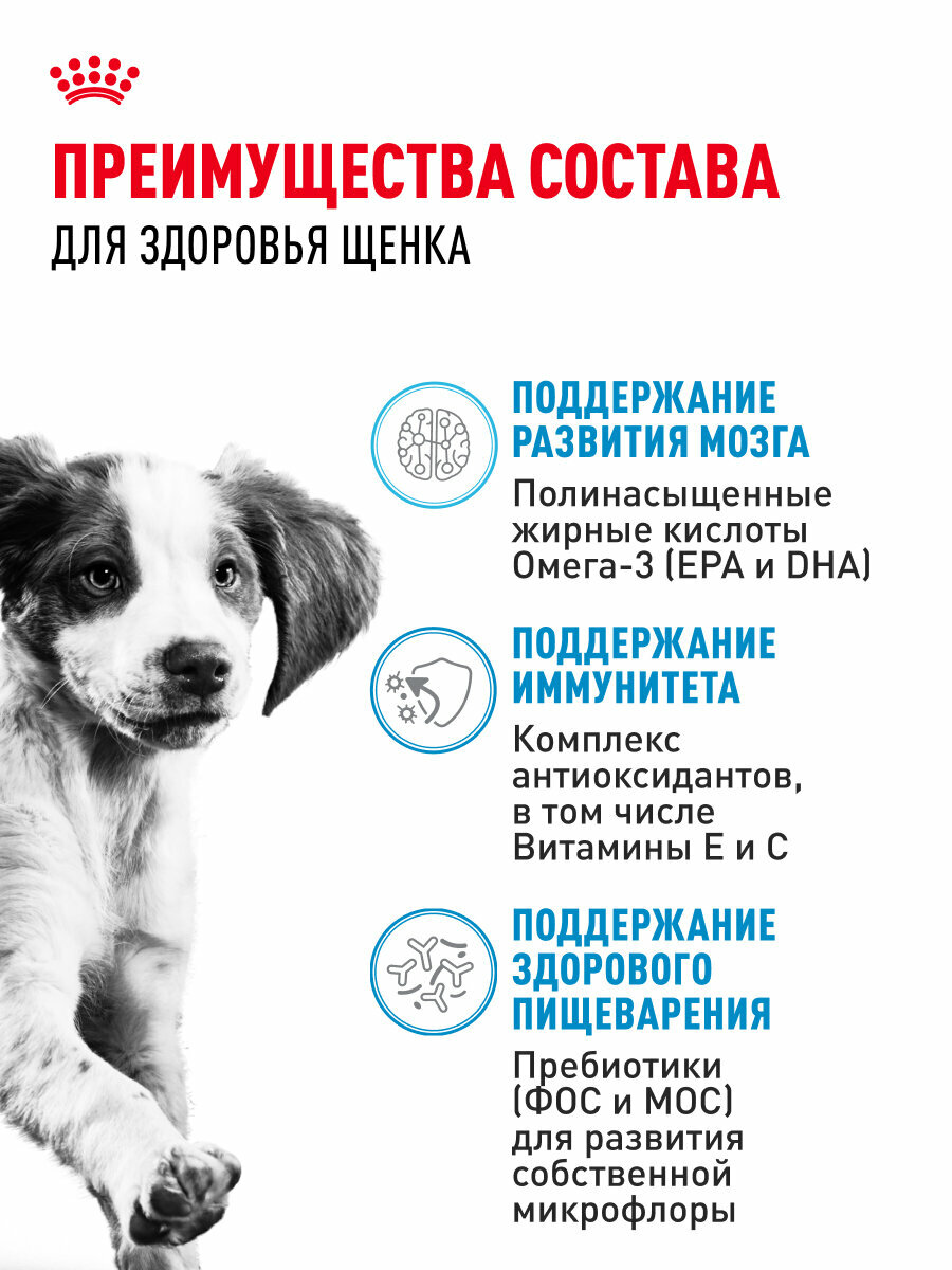 Сухой корм для щенков Royal Canin Medium Puppy для средних пород, 3 кг — фото 1