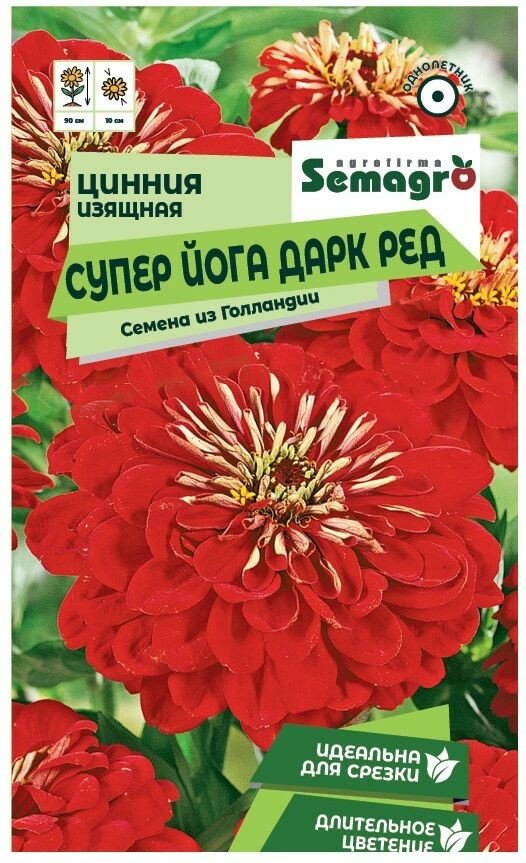 Семена Цинии изящной SEMAGRO Супер Йога Дарк Ред 20 шт