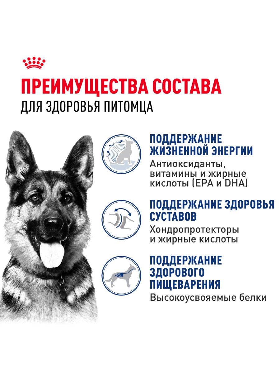 Сухой корм Royal Canin Maxi Ageing 8+ для собак старше 8 лет крупных пород Птица, 3 кг. — фото 1