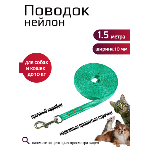 фото Поводок хвостатыч с карабином нейлон для мелких пород 1.5 м х 10 мм (бирюзовый)
