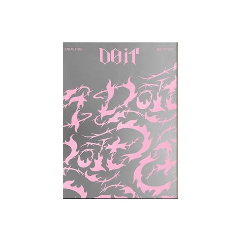 Альбом Stray Kids - Do it standard it Version K-pop — фото 1