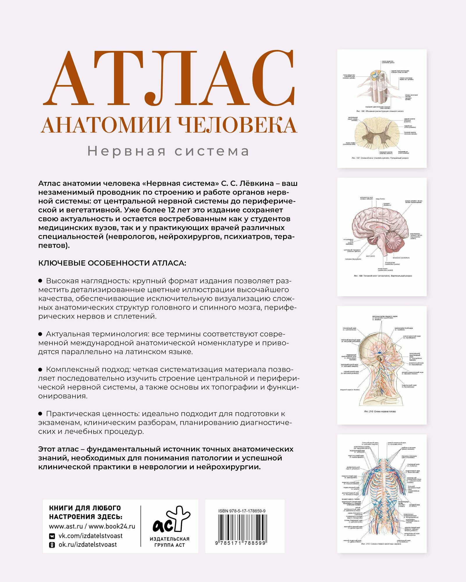 Атлас анатомии человека. Нервная система — фото 1