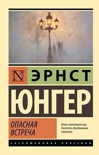 Книга "Опасная встреча : роман"