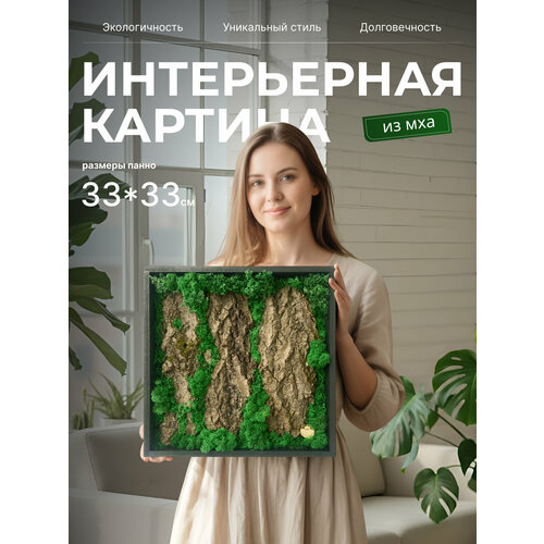 Картина из коры со мхом, панно из коры со мхом, картина интерьерная 33х33 см Queen Wood