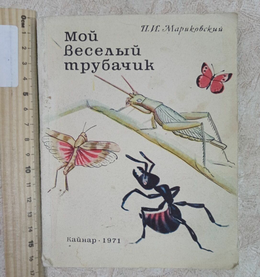 Мой веселый трубачик. П. И. Мариковский