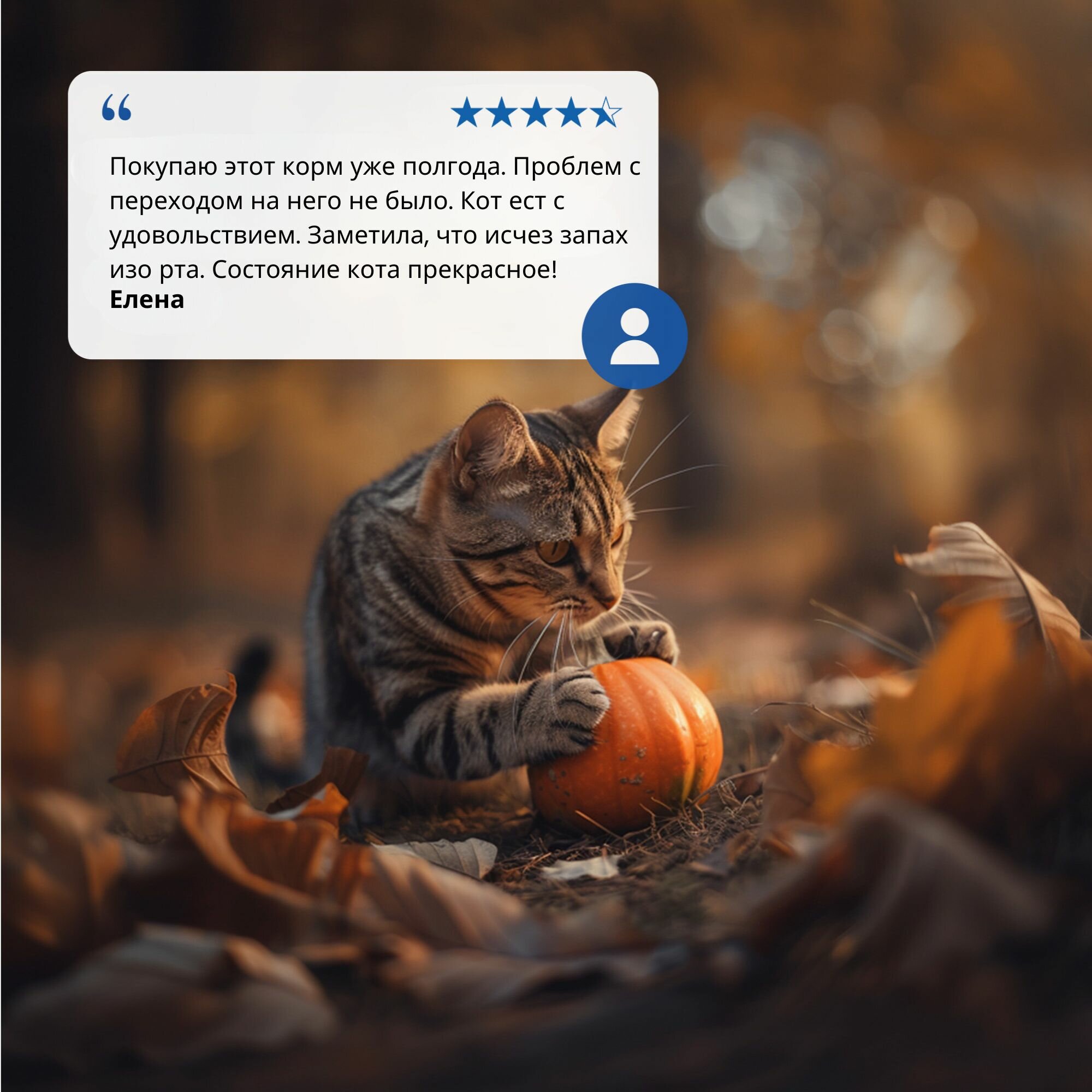 Farmina N&D Pumpkin Н&Д Тыква для кошек с перепелом для стерилизованных кошек и кастрированных котов Фармина 300 г — фото 1