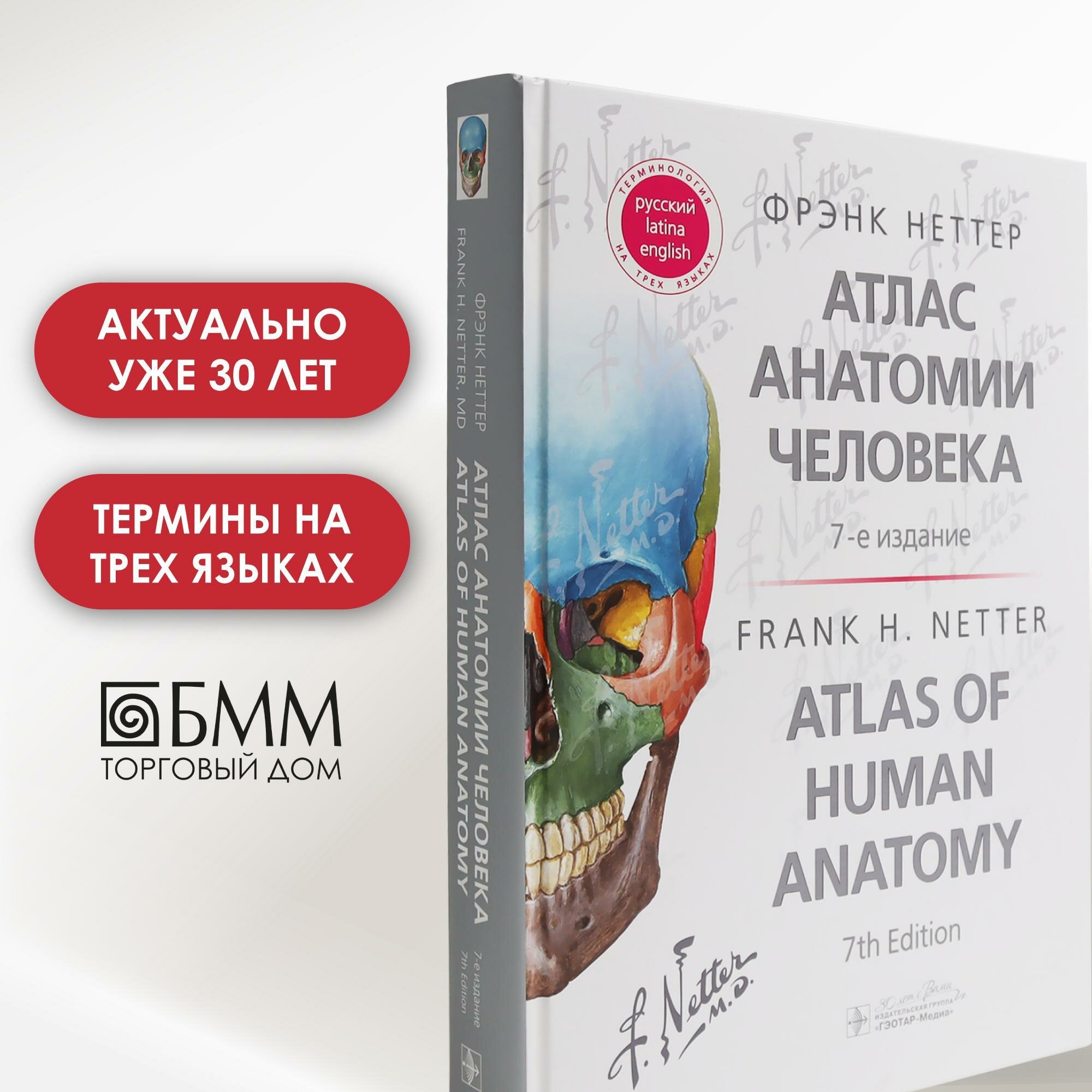Атлас анатомии человека. 7-е изд. Неттер Ф. Г. гэотар-медиа