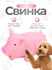 Игрушка для собак DRAKON IRG из латекса Поросенок хрюкающий, 16 с...