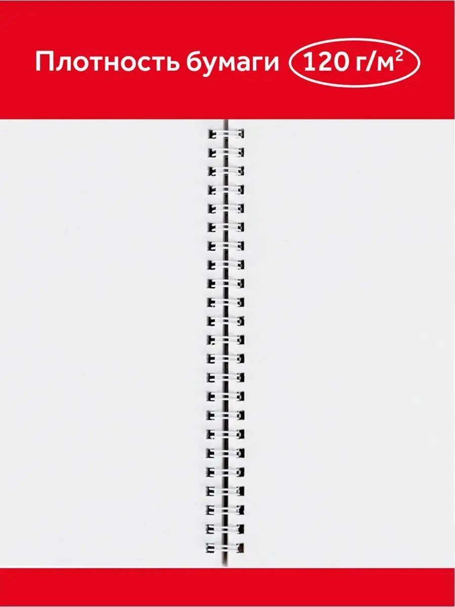 Альбом для рисования 40л, А4, на гребне Гамма "Мультики", 120г/м2, 4 штуки — фото 1