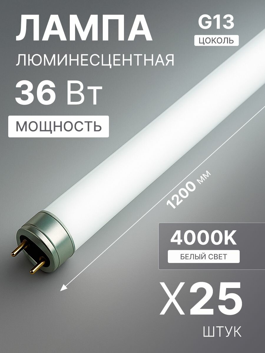 Лампочка люминесцентная 120 см L 36W/640 36Вт T8 4000К G13 OSRAM 4008321959713 25 штук