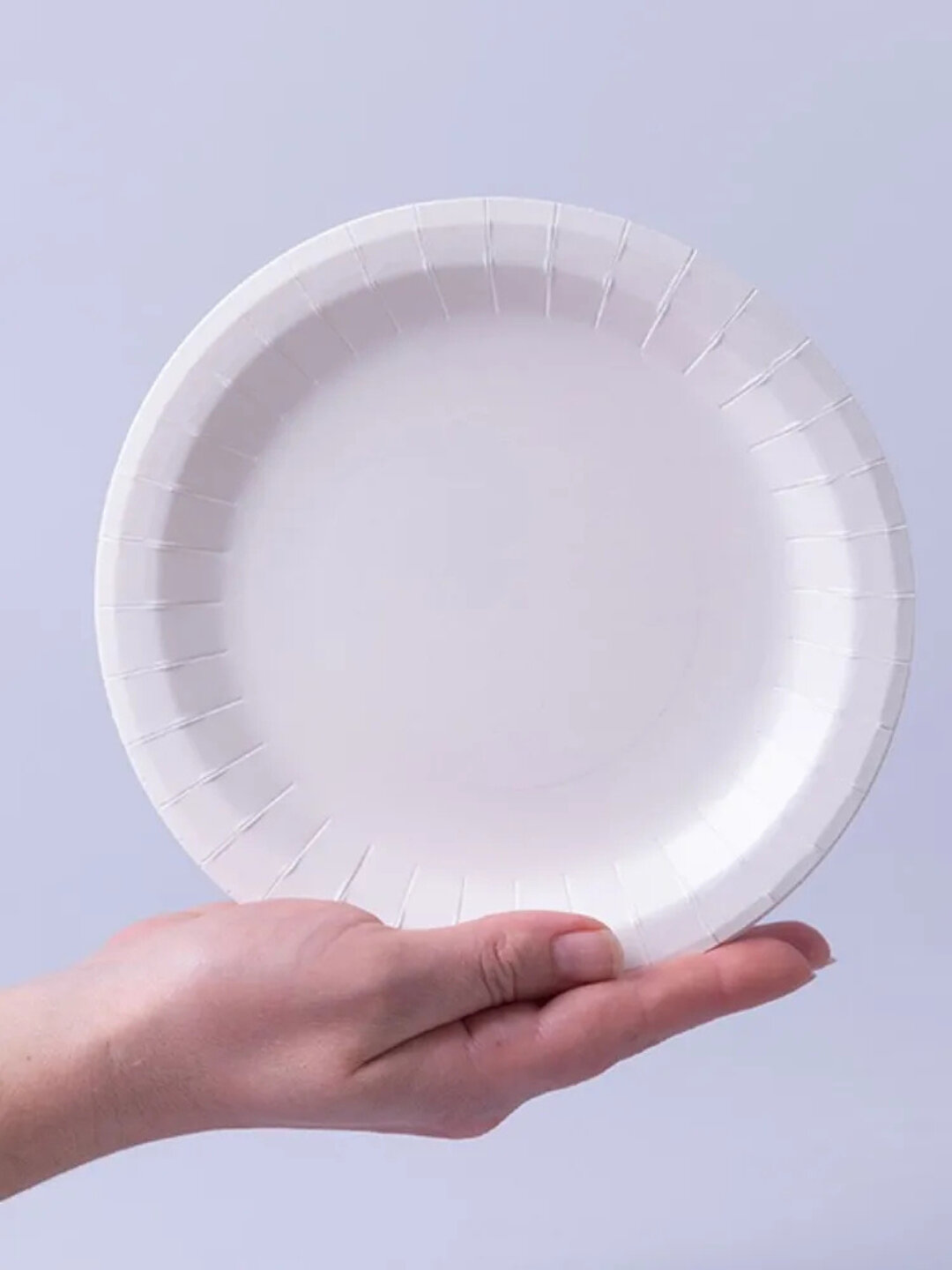 Одноразовые тарелки на праздник — фото 1