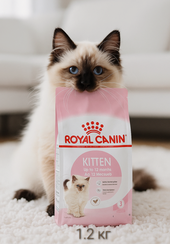 Изображение товара Сухой корм Royal Canin "Kitten", для котят, супер-премиум, 1,2кг