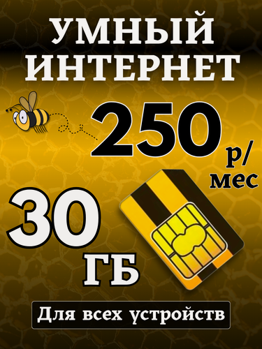 Изображение товара SIM-карта Билайн 30ГБ за 250 руб./мес. для видеокамеры/модема и роутера
