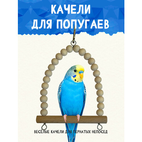 фото Качели для волнистых попугаев и декоративных птиц
