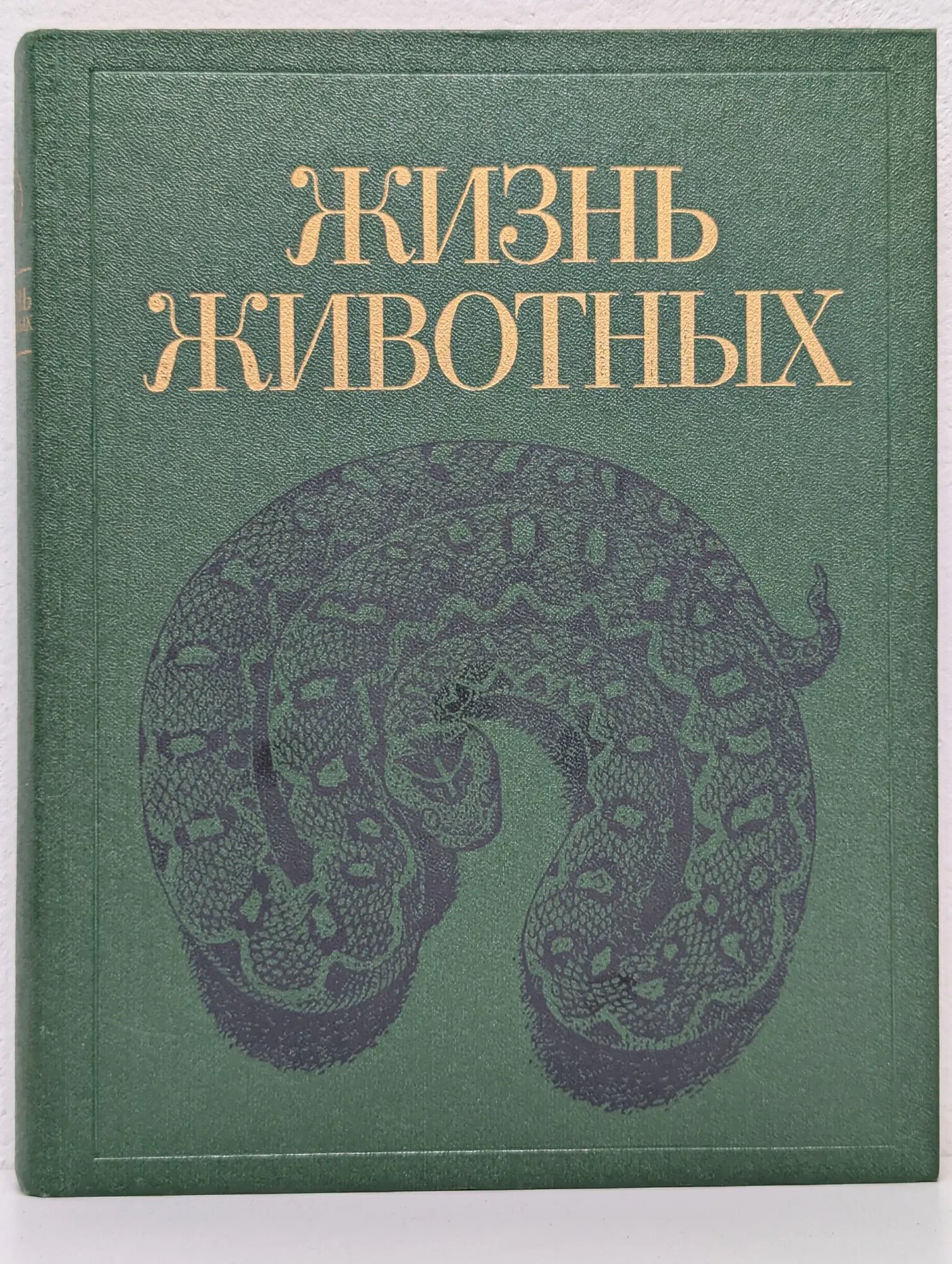 Жизнь животных. В 7 томах. Том 5. Земноводные. Пресмыкающиеся Сборник 1985