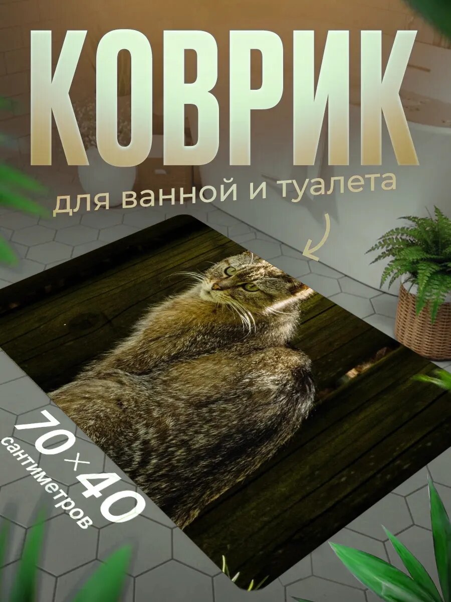 Коврик для ванной противоскользящий влагостойкий 70 на 40