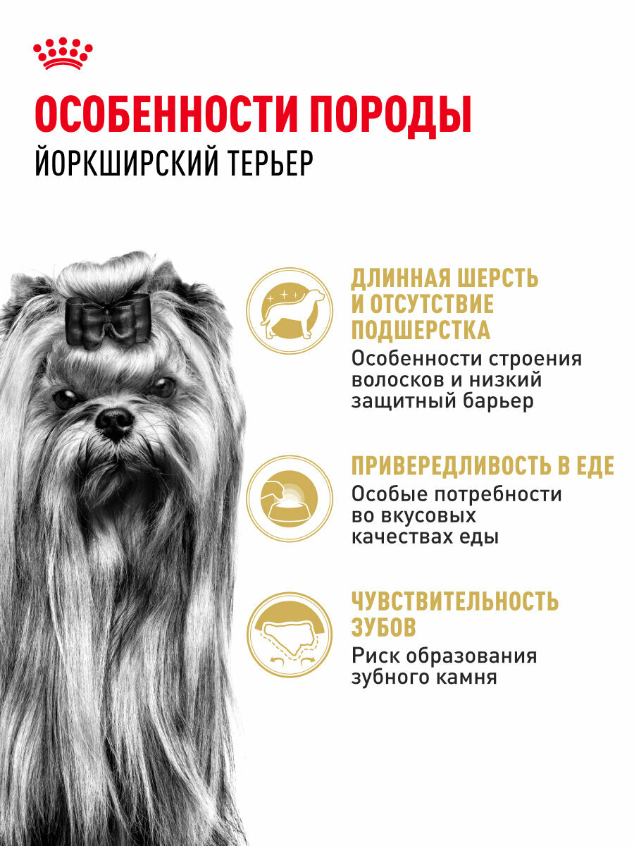 Сухой корм для собак Royal Canin Adult для породы йоркширский терьер, 3 кг — фото 1