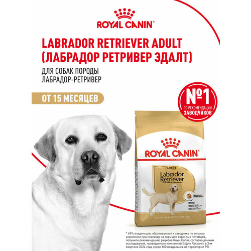 Корм для собак Royal Canin Labrador Retriever (Лабрадор Ретривер Эдалт) Корм сухой для взрослых собак породы Лабрадор Ретривер от 15 месяцев, 3 кг