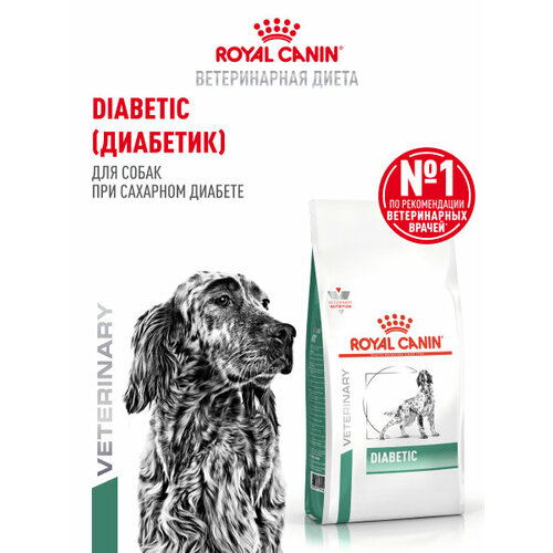 Корм для взрослых собак при сахарном диабете Royal Canin Diabetic (Диабетик) DS 37 Canine, сухой диетический, 12 кг