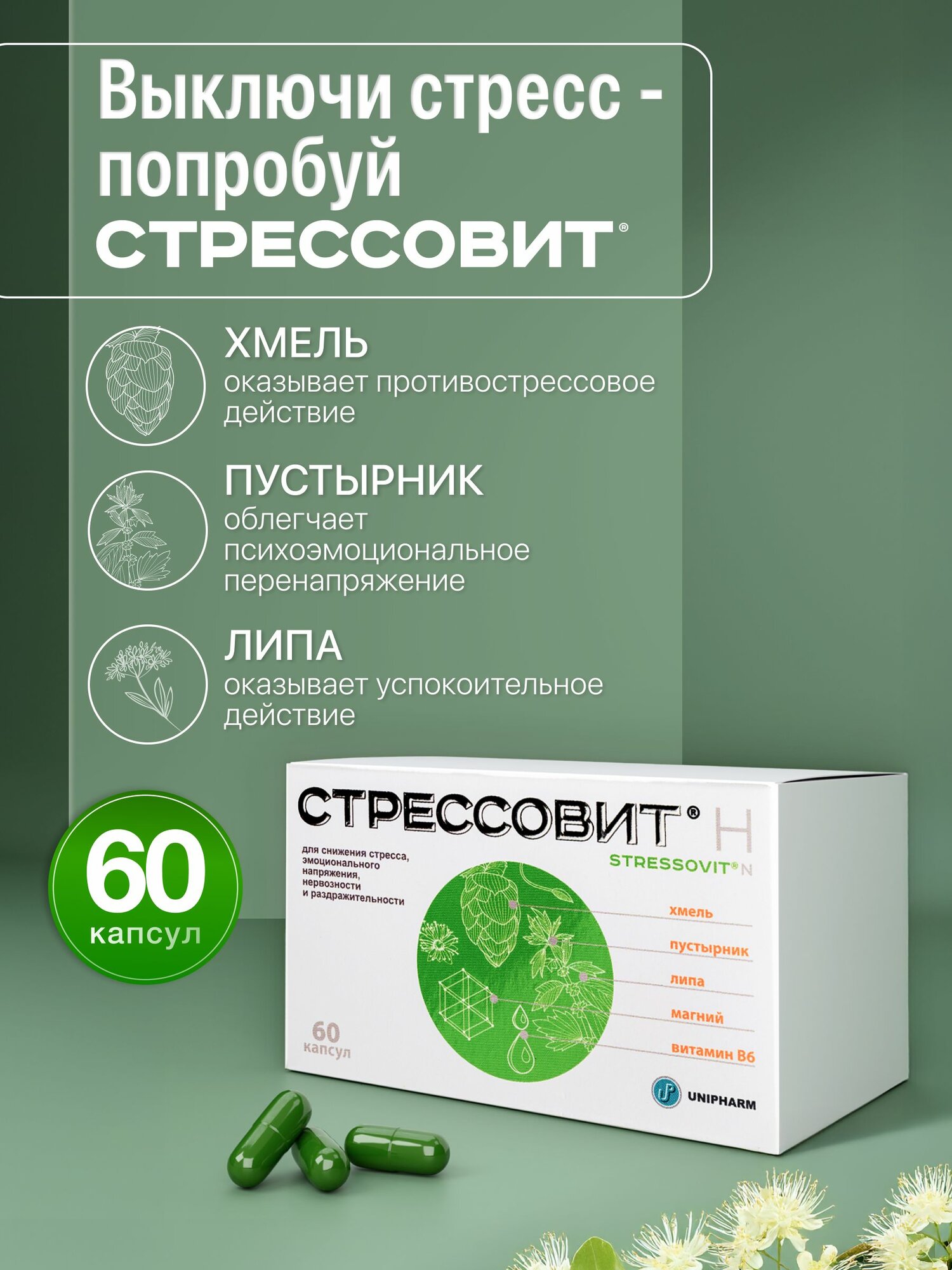 Картинки Стрессовит Н успокоительный анти-стресс БАД, 60 капсул