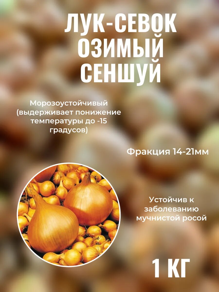 Лук-севок Сеншуй 1 кг