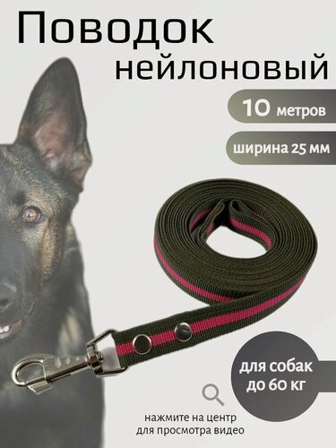 Изображение товара Поводок Хвостатыч для собак с карабином нейлон 10 м х 25 мм (зелено-красный)