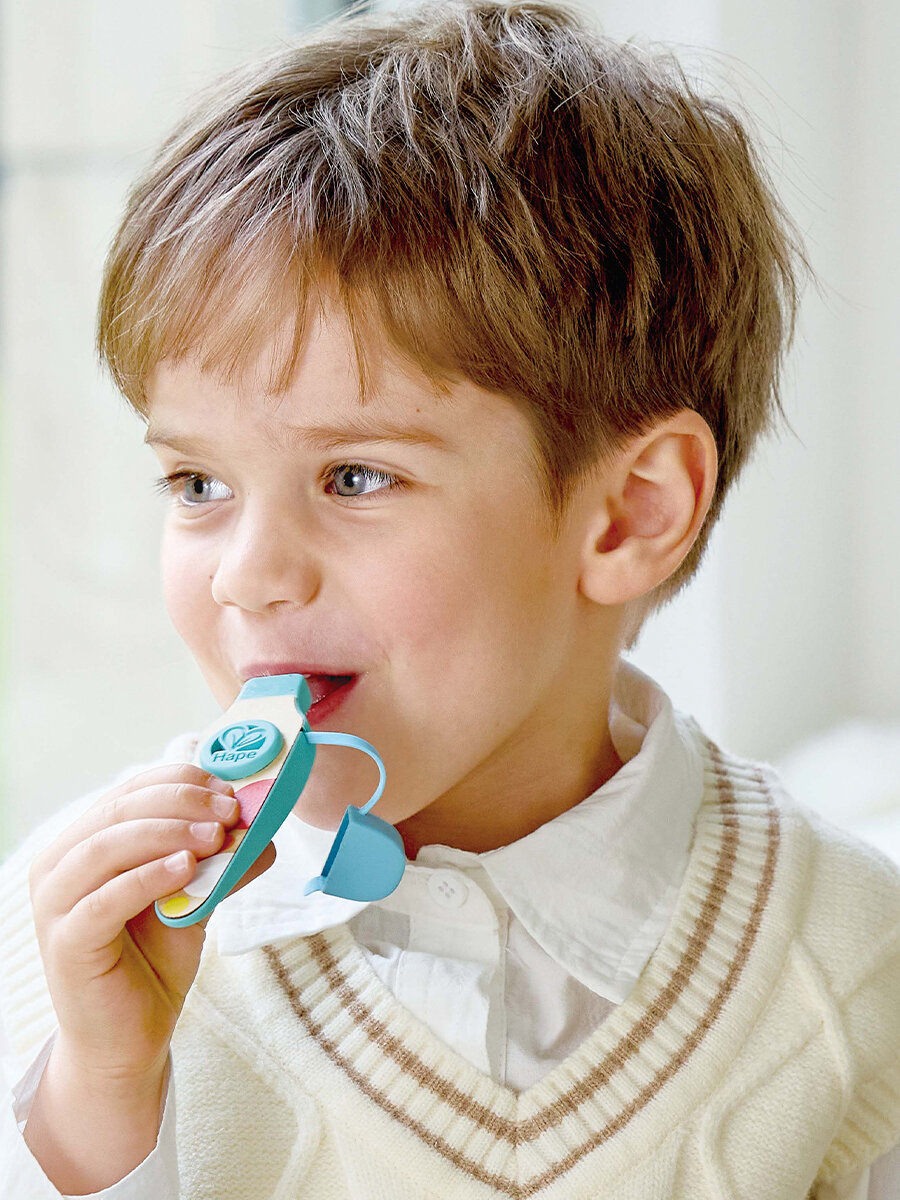 Музыкальная игрушка Hape "Волшебный звук" Карманный Казу E0643_HP