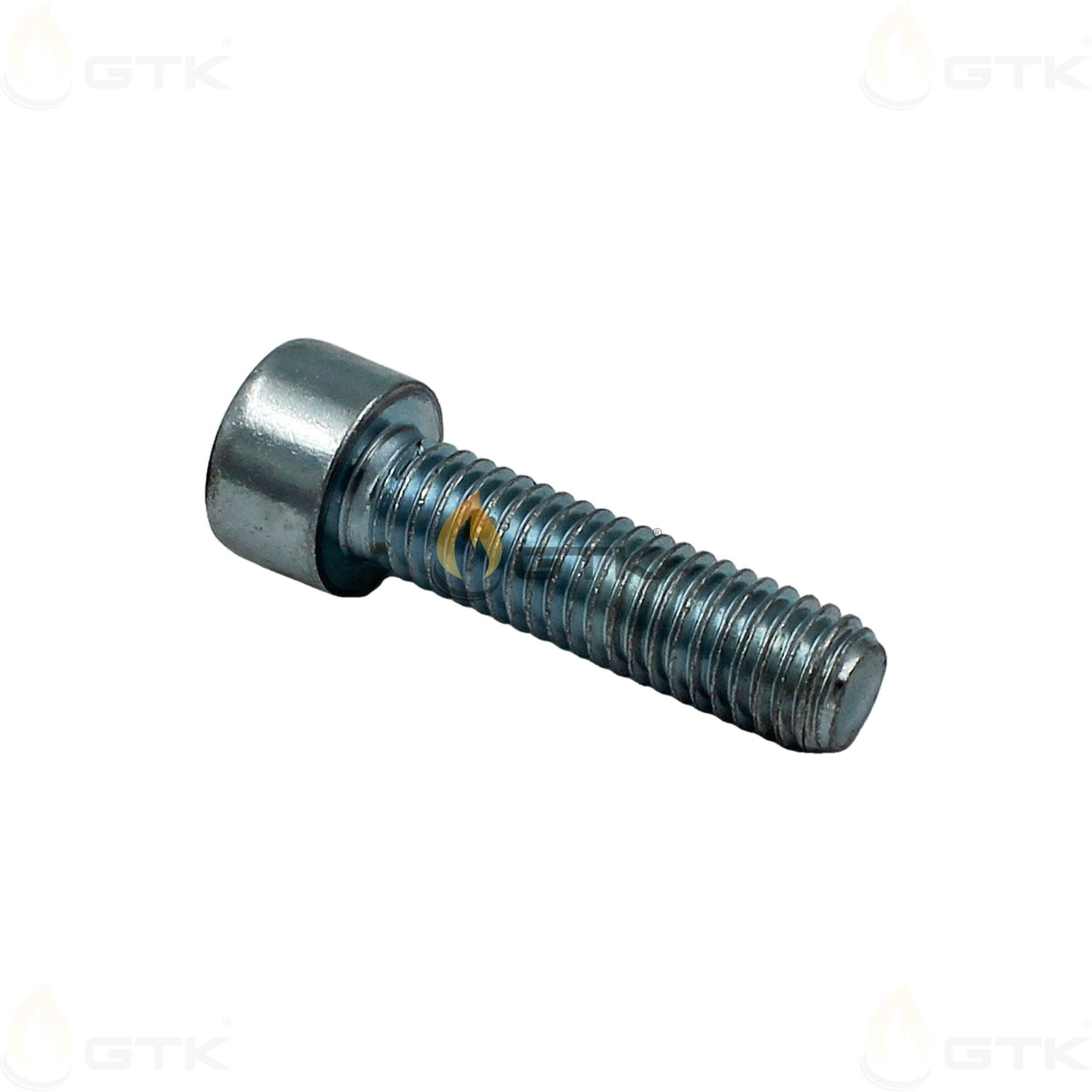 Винт Weishaupt M8 x 30 DIN 912 8.8 402517