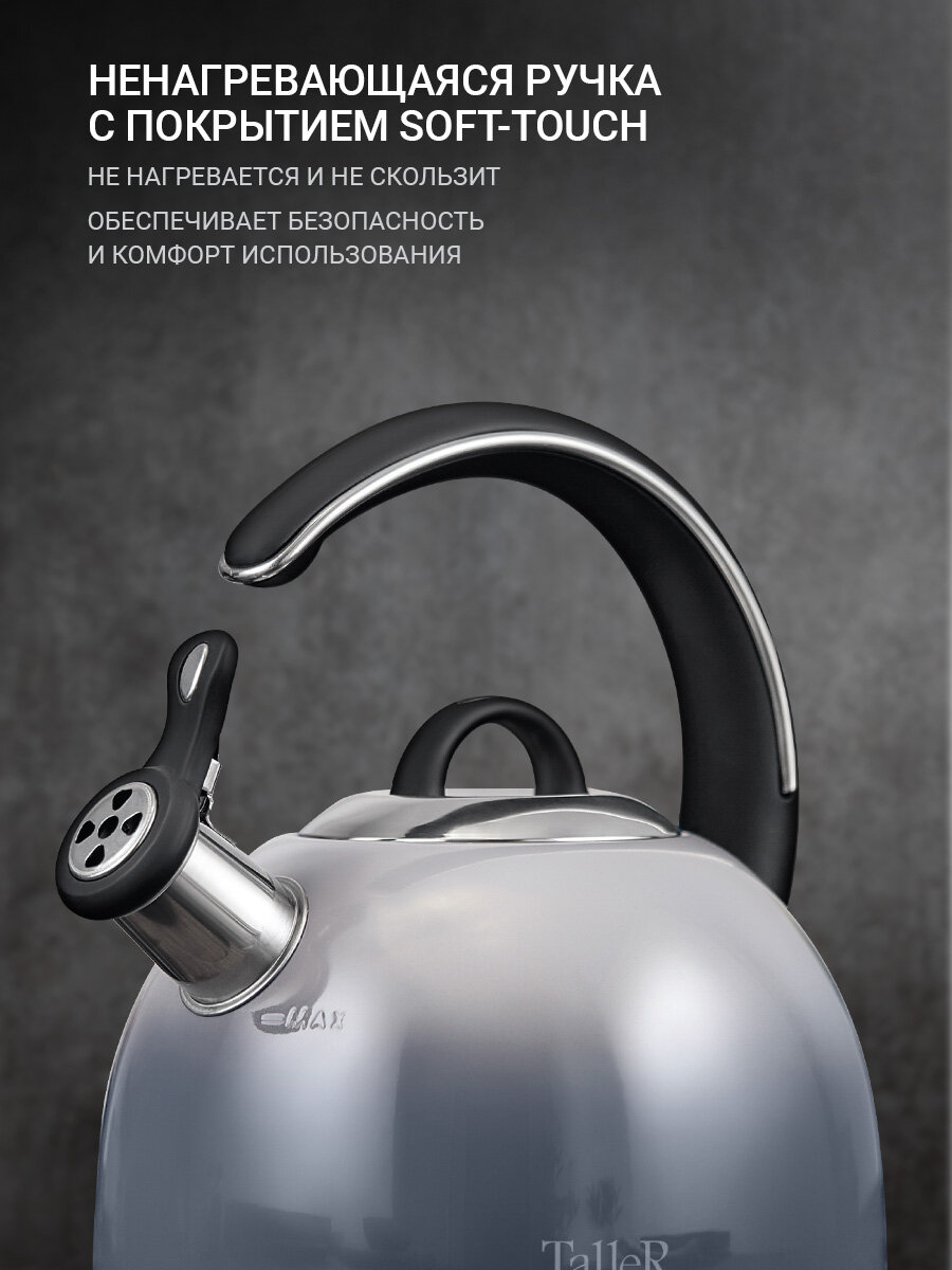 Чайник для всех типов плит TalleR TR-11355 Обсидиан 2.8 л, со свистком — фото 1