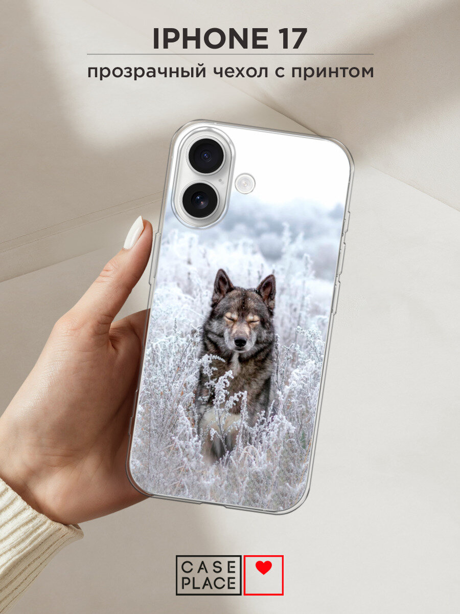 Силиконовый чехол на Apple iPhone 17 / Айфон 17 с принтом Волк в поле