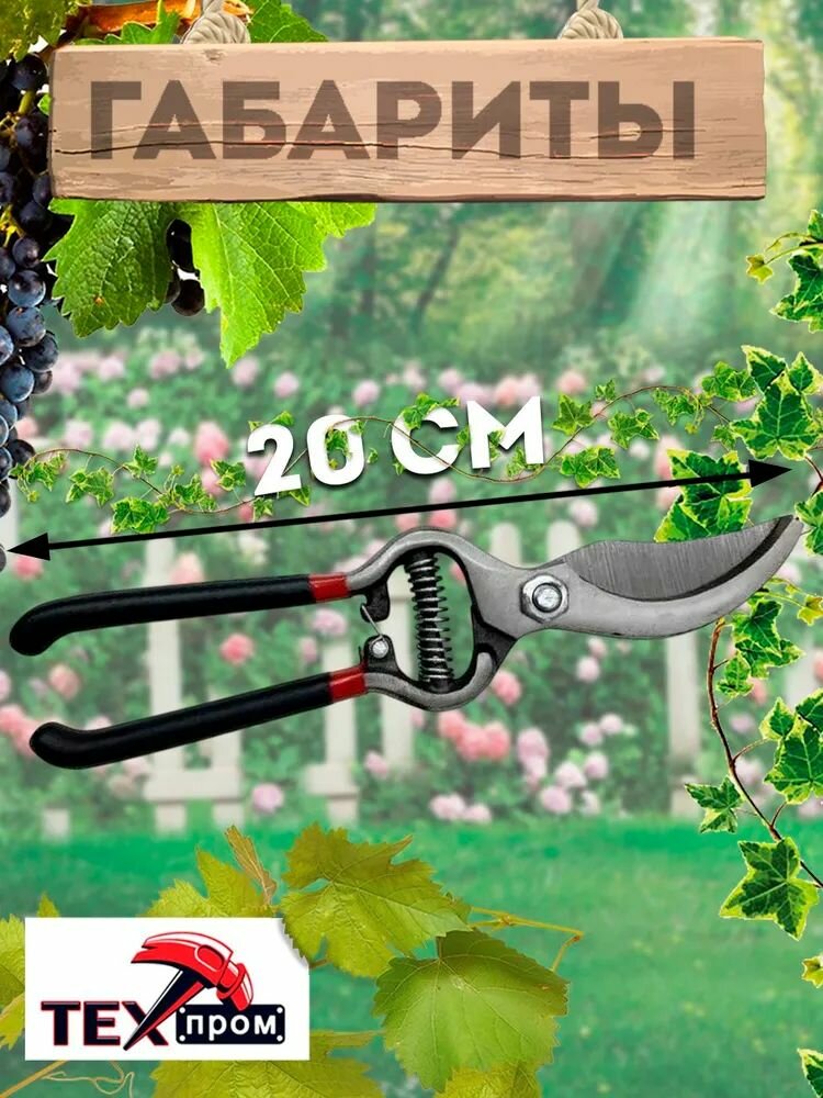 Секатор Техпром S 5043/1, сталь, нескользящие рукоятки, 20 см — фото 1