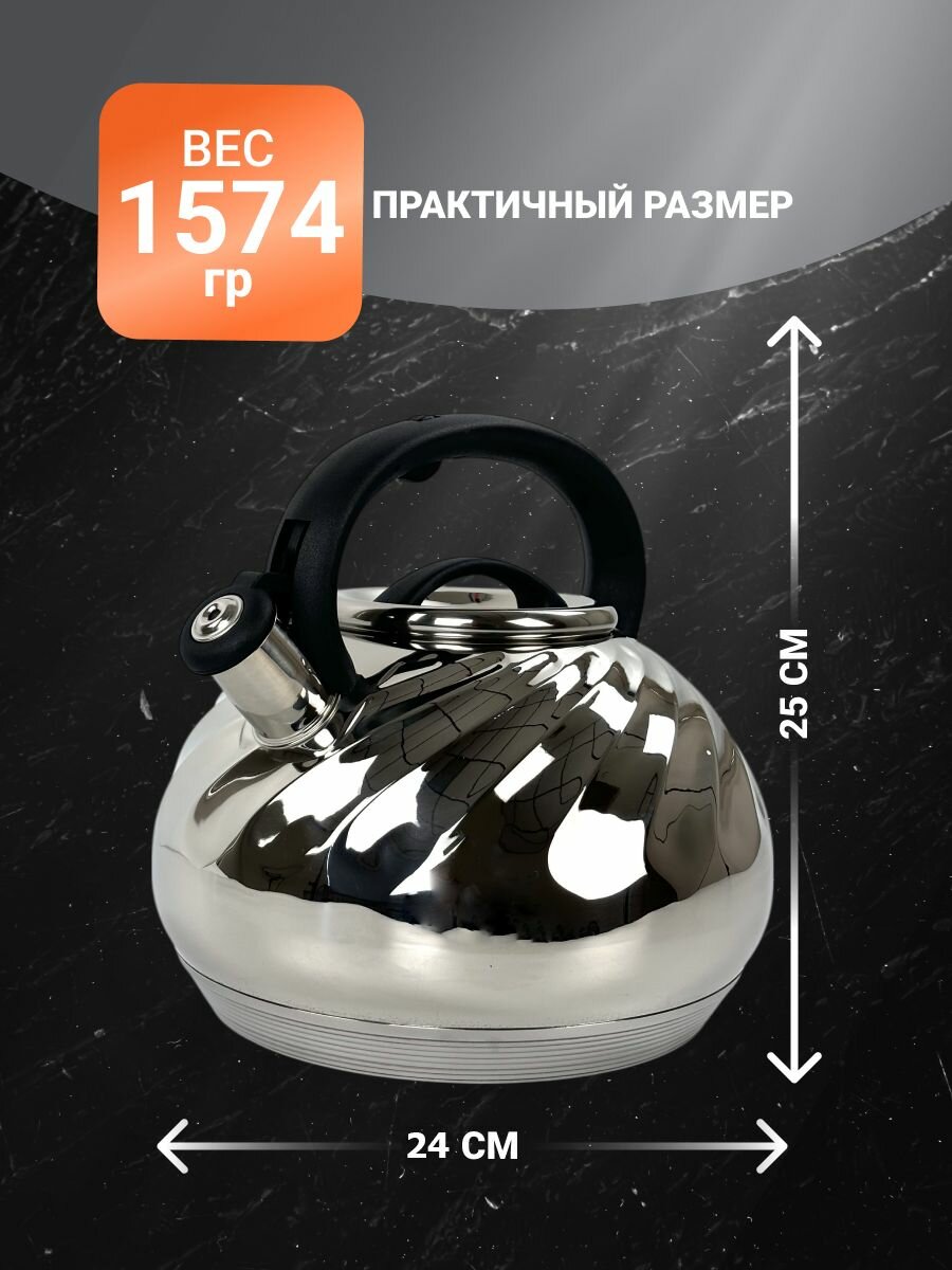 Чайник со свистком Мой Дом, нержавеющая сталь, 5л, серебристый — фото 1