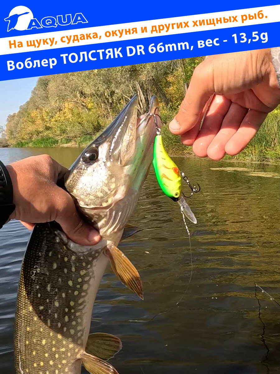Воблер для рыбалки плавающий AQUA Толстяк DR 66mm 13,5g заглубление от 3 до 5m цвет 023 — фото 1