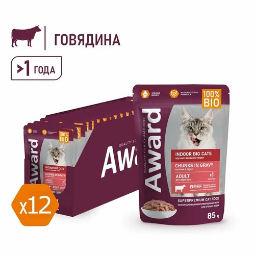 Влажный корм AWARD Indoor Big cats для взрослых домашних кошек крупных пород, с говядиной в соусе, паучи, 12 шт х 85 гр