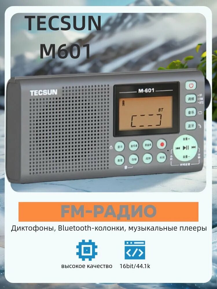 TECSUN M-601 радио с Bluetooth и записью
