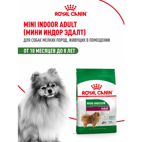 Корм для собак Royal Canin Mini Indoor Adult (Мини Индор Эдалт) Корм сухой для взрослых собак мелких размеров, живущих в помещении, 3кг