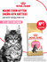 Сухой корм для котят Royal Canin Kitten для породы мейн кун, 4 кг