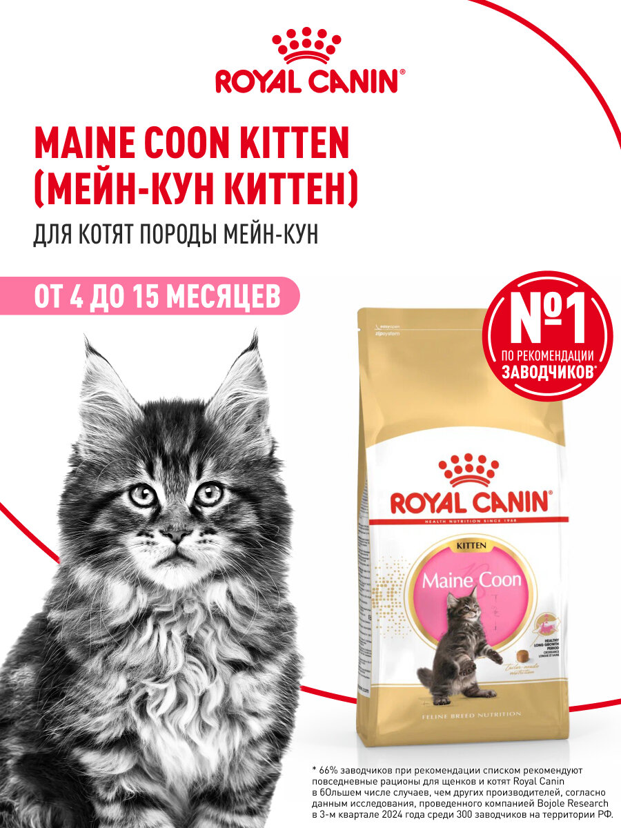 Сухой корм для котят Royal Canin Kitten для породы мейн кун, 2 кг