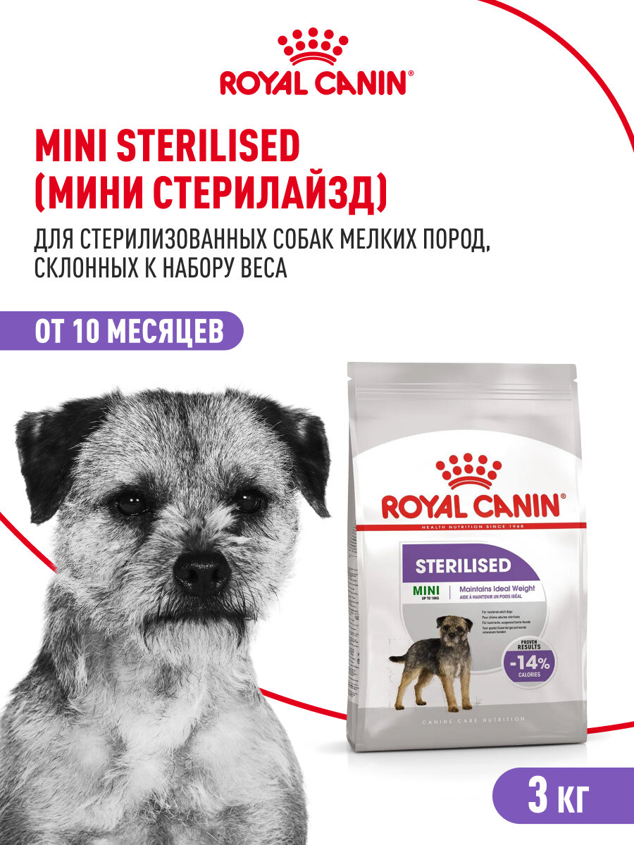 Сухой корм для стерилизованных собак Royal Canin Mini Sterilised для мелких пород, 3 кг — фото 1