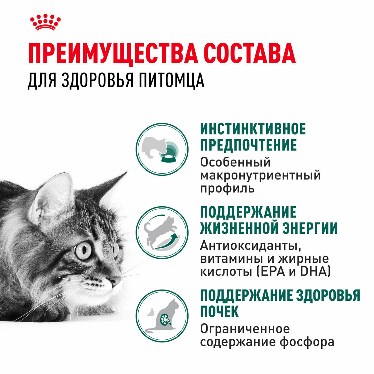 Корм влажный Royal Canin Instinctive 7+ для пожилых кошек старше 7 лет в соусе пауч, 85 г х 10 шт — фото 1