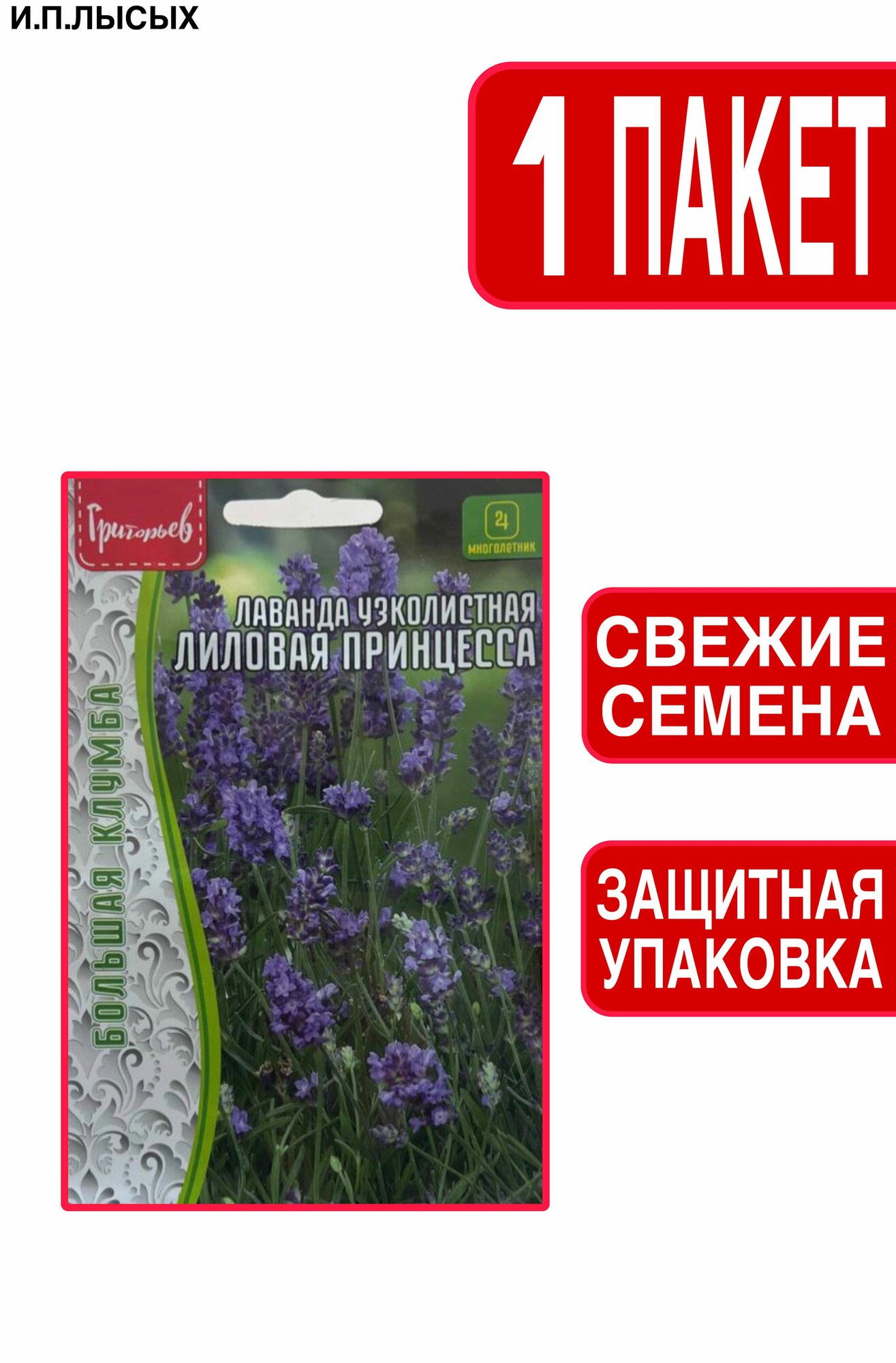 Лаванда узколистная Лиловая Принцесса