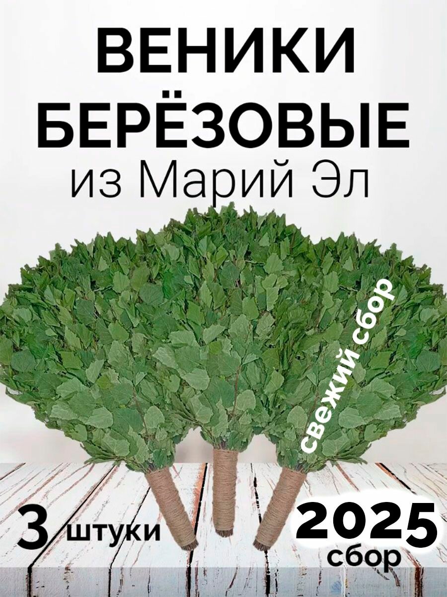 Веники для бани берёзовые из Марий Эл отборные с ручкой из джута 3 штуки в коробке 2025