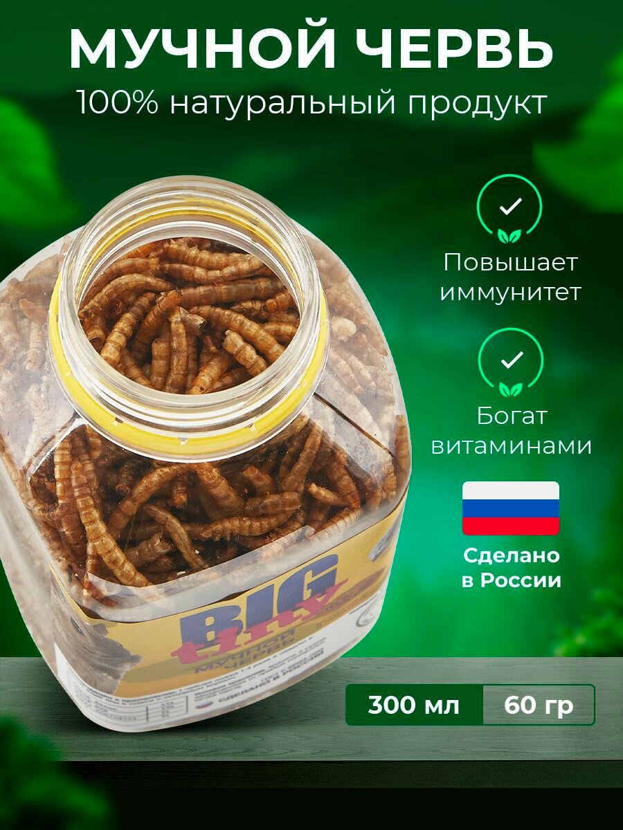 Мучной червь для грызунов, крыс, хомяков, ежей, черепах, птиц 300 мл. 100% натуральный.