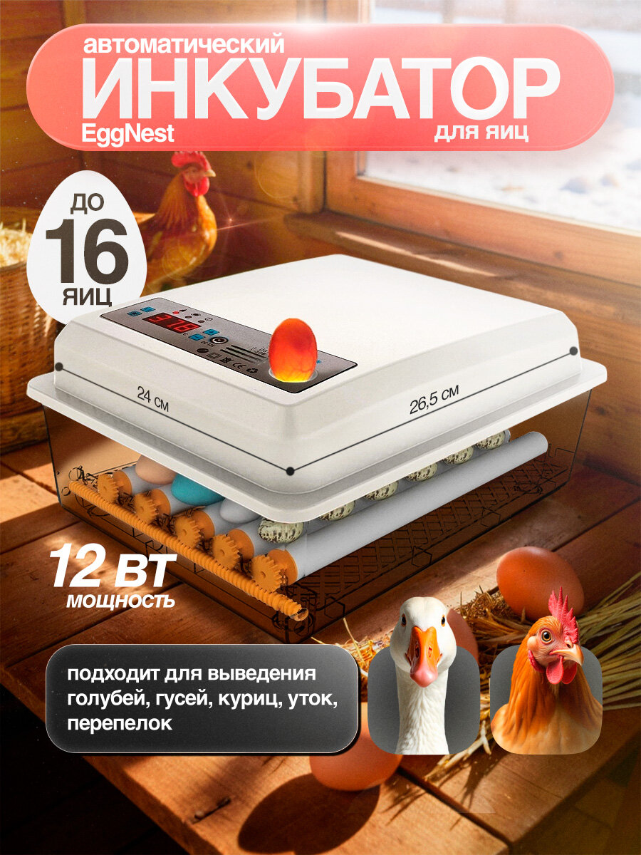 Инкубатор EggNest автоматический на 16 гусиных куриных утиных или перепелиных яйца