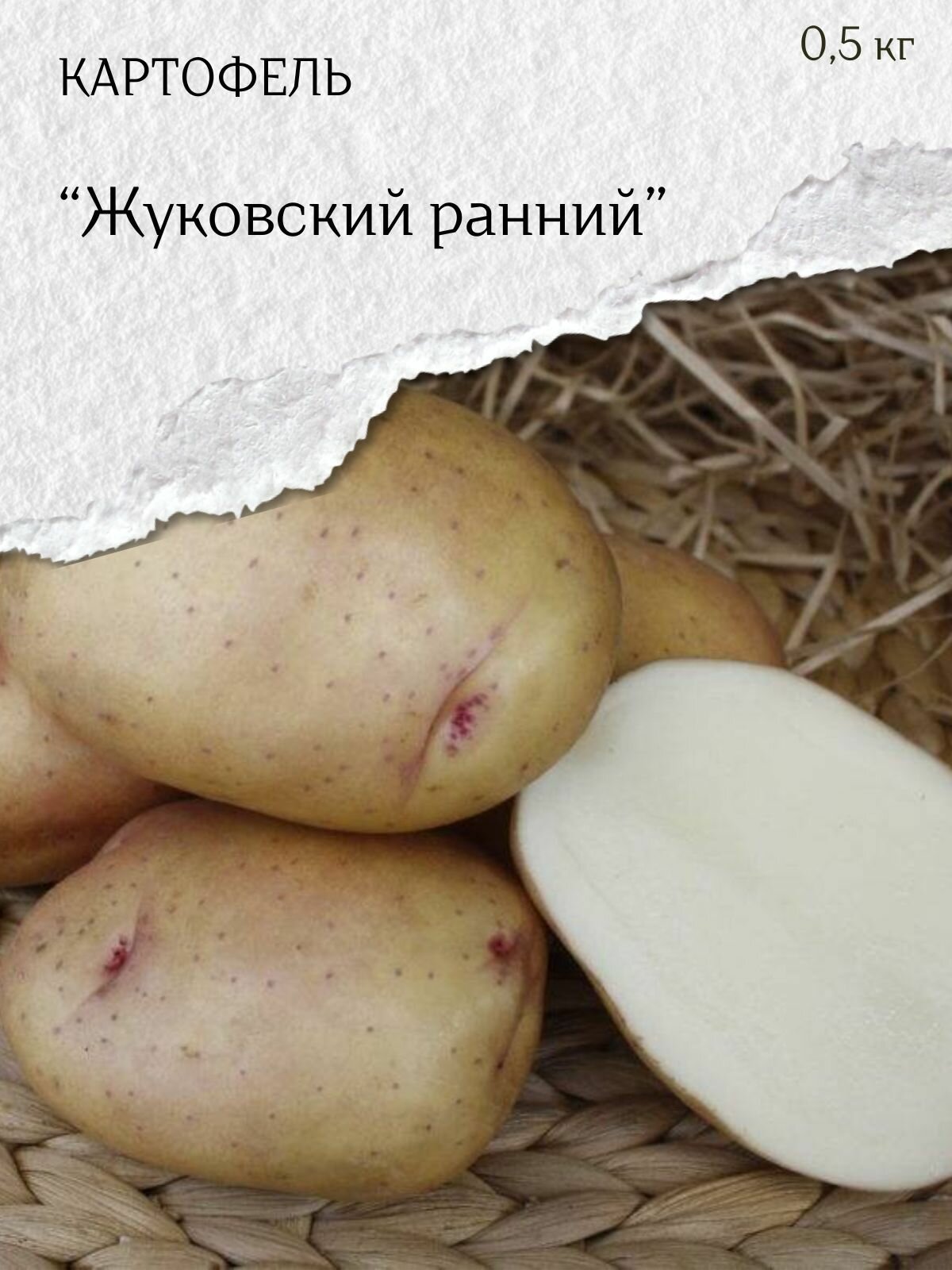 Картофель семенной белый Жуковский ранний клубни на посадку 500 гр 
