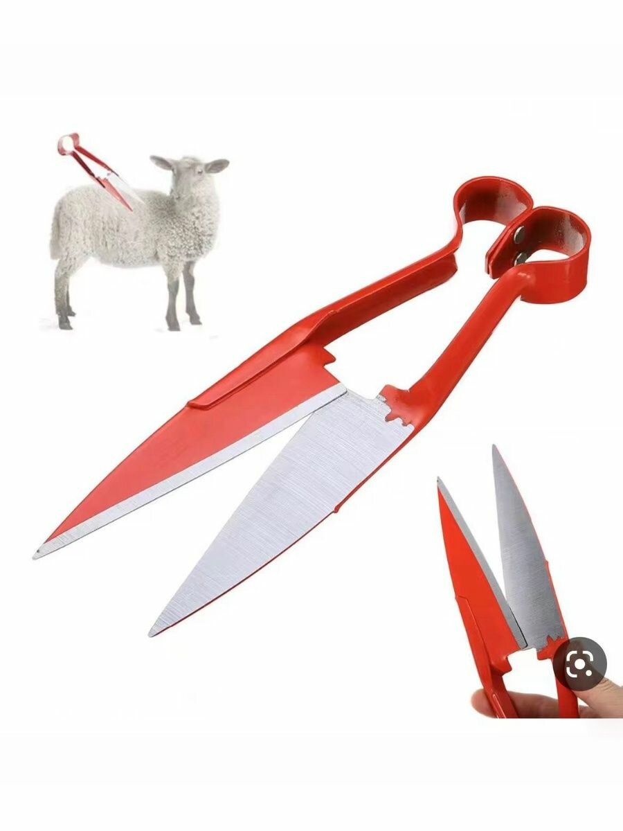 Ножницы для стрижки овец и других животных (собак, ягнят, коз, баранов, мрс, мелкого рогатого скота) металл 300 мм