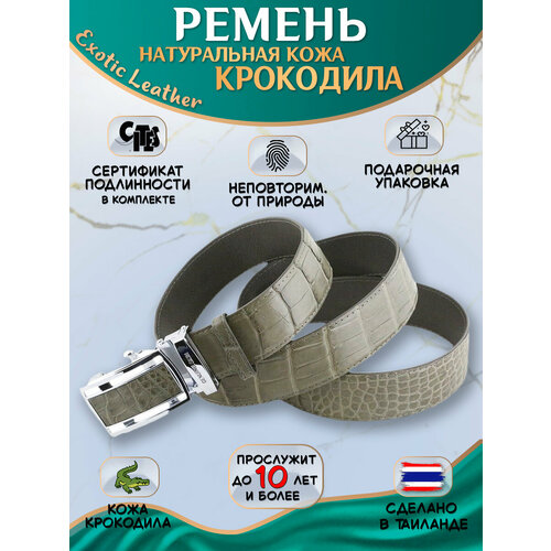 фото Ремень exotic leather для мужчин, размер 120, серо-зеленый
