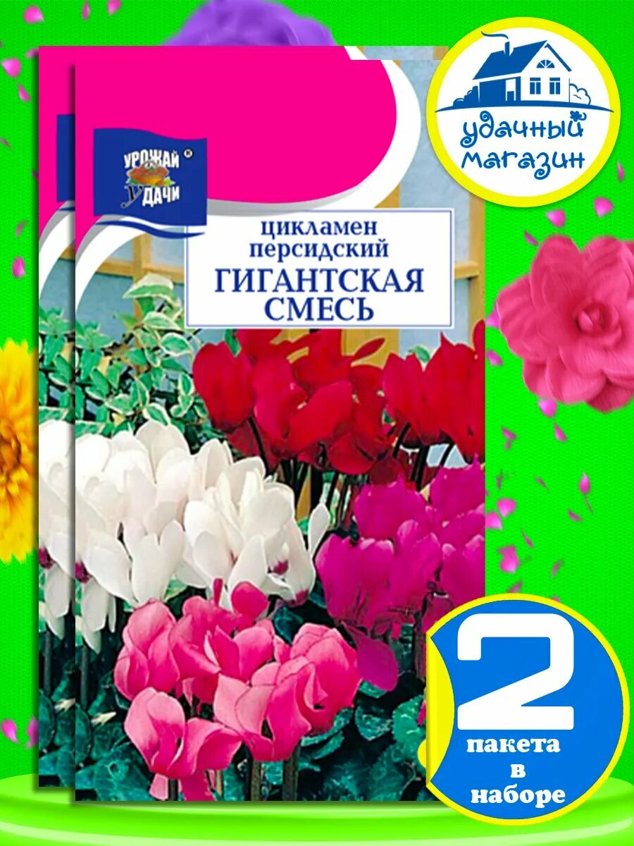 Семена цикламена персидского комнатного