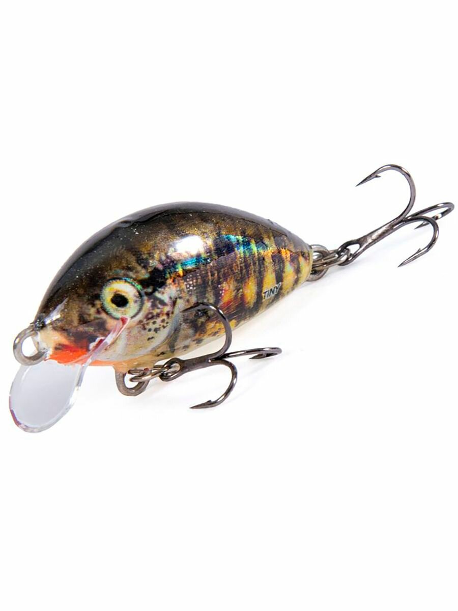 Воблер плавающий Salmo TINY F 03/HS